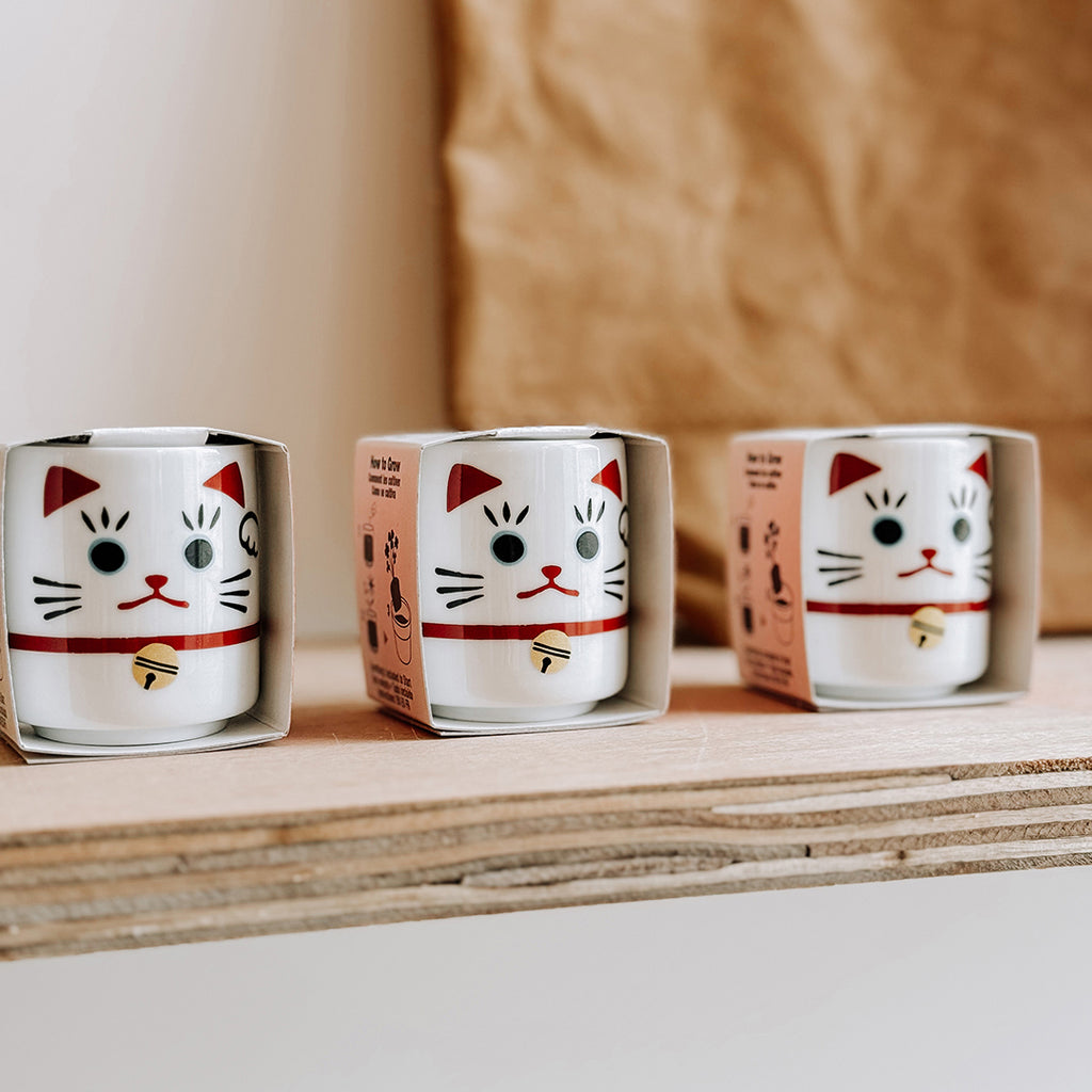 A close up of three ceramic mini plant pots with Japanese Beckoning Cats lined up on a plywood shelf in the byFoke Gift Shop in Poundbury.