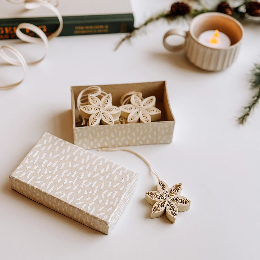 A paper display box which is filled with a set of 6 cream quilled paper star decorations. Pine cones and pine sprigs are in the background.