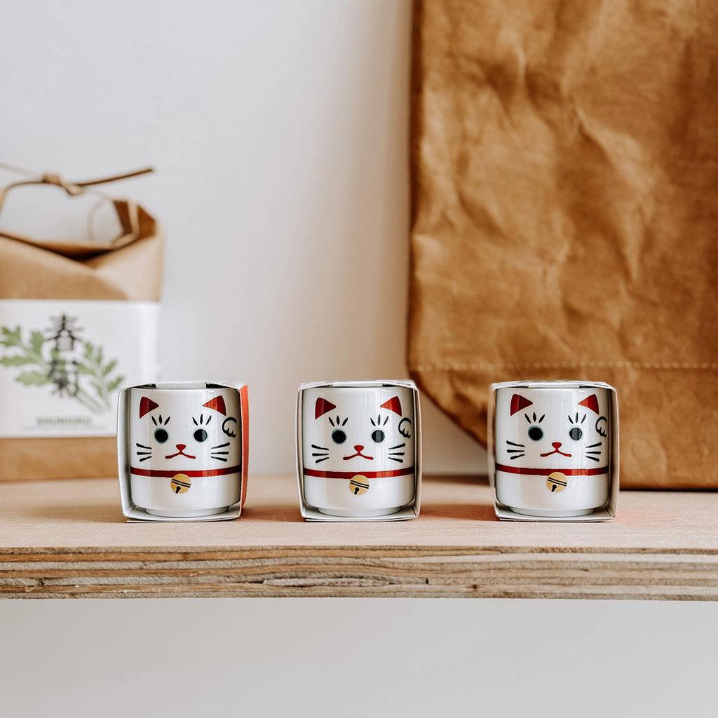 Three ceramic mini plant pots with Japanese Beckoning Cats lined up on a plywood shelf in the byFoke Gift Shop in Poundbury.