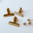 Brass clips 